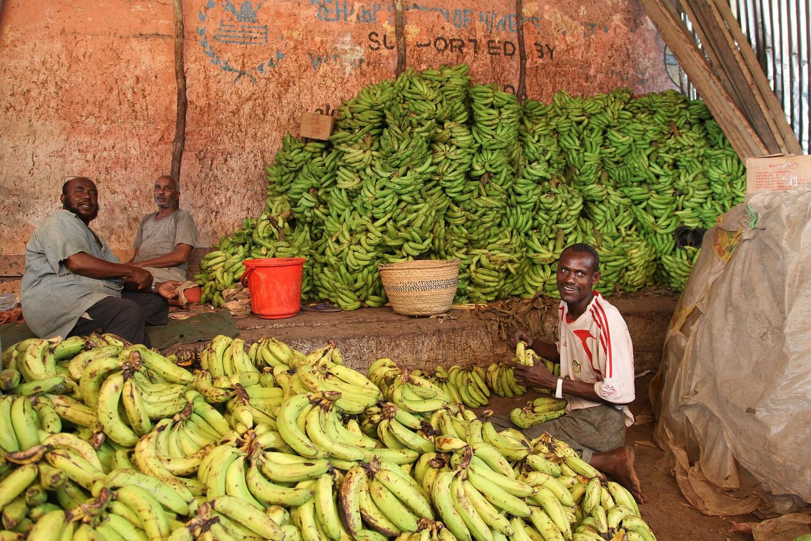 A produce trader arranges bananas for sale at a market in Mogadishu