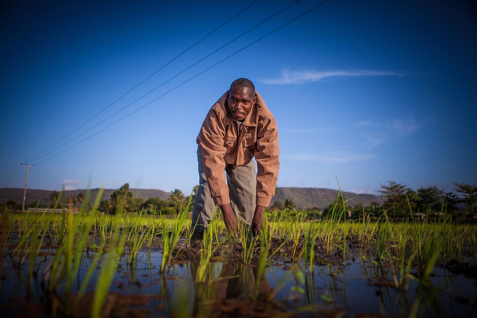 Farmland and a busy market street in fragile and conflict-affected settings