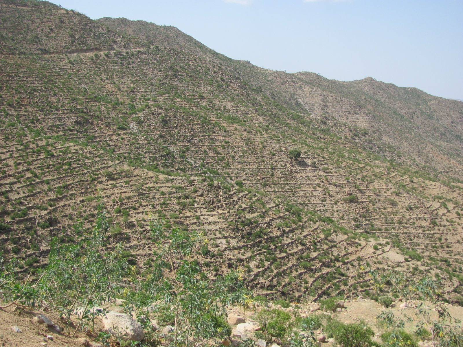 Terraced hillsides and farmland in fragile and conflict-affected settings