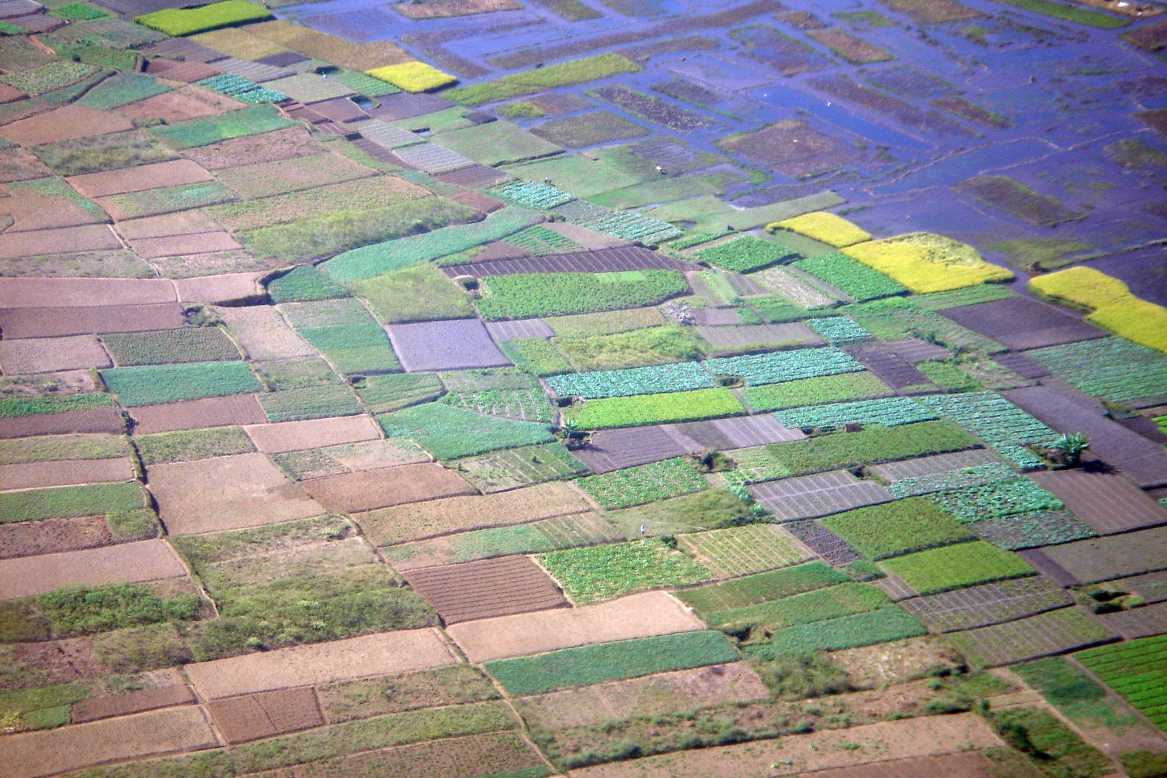Farmland and a port in fragile and conflict-affected settings